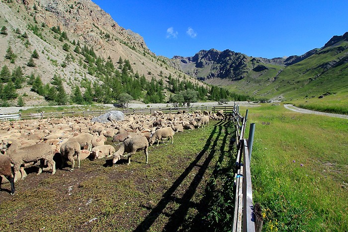 Dbut de la randonne au lac de l'Eychauda