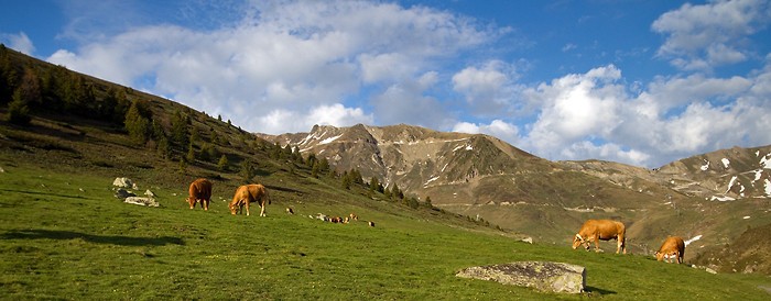 Valle de Barges