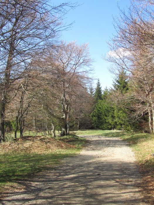 Rando sur Aubrac