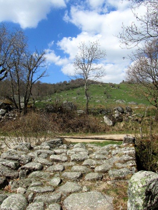 Randonne au dpart du Col de Bonnecombe sur Aubrac