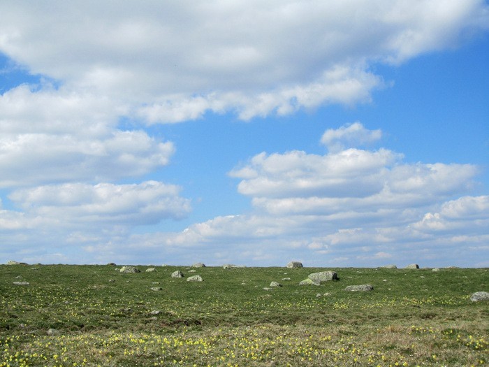Paysage d'Aubrac, plateau pur et simple mais si beau