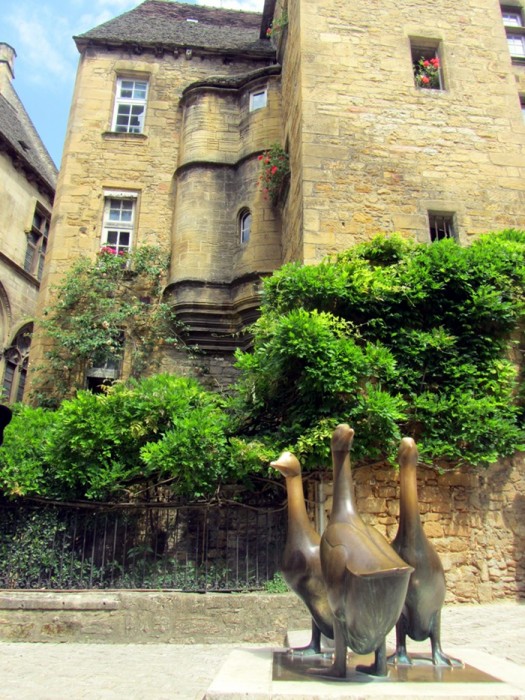 Oies sur la place de Sarlat la Canda