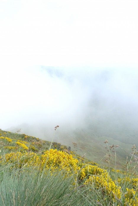 Au sommet du Puy Mary par temps brumeux 