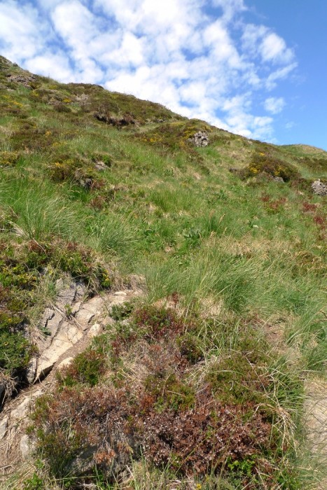 Pas de Peyrol,  ct du Puy Mary