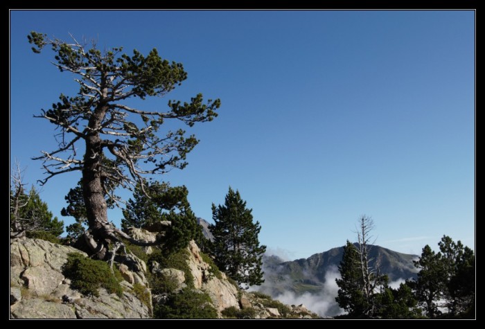 La coume de Portheil
