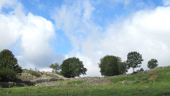 L'Aubrac, terre vierge et si belle