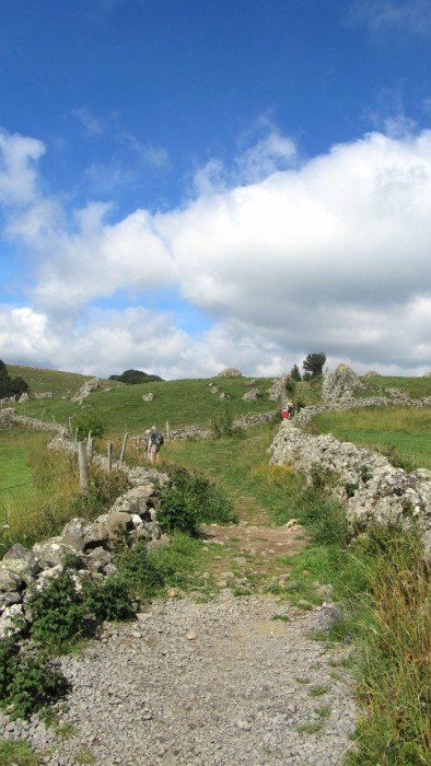 Chemin sur l'Aubrac, menant à la cascade du Déroc Chemin sur l'Aubrac, menant à la cascade du Déroc