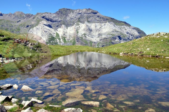 Reflet