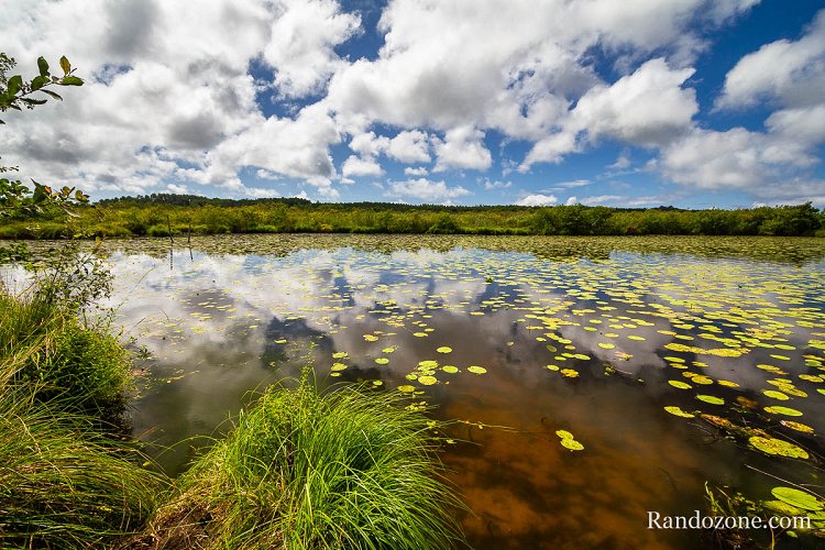 Balade  l'tang de Lon