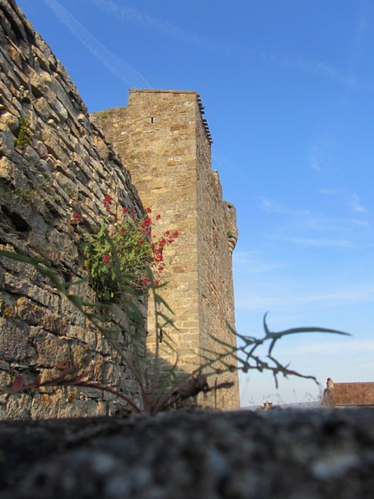 Capdenac le Haut, Lot, Midi Pyrnes