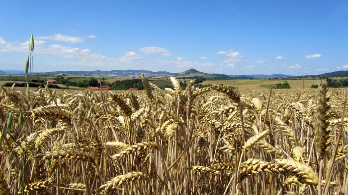 Usson sur sa montagne 