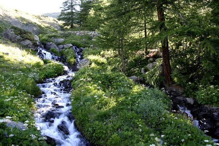 Ruisseau en montant au lac Laramont