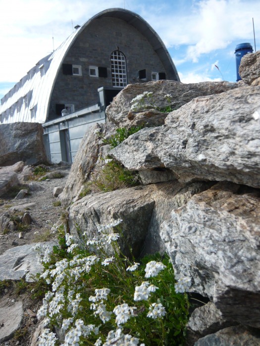 Refuge Victor Emmanuel II
