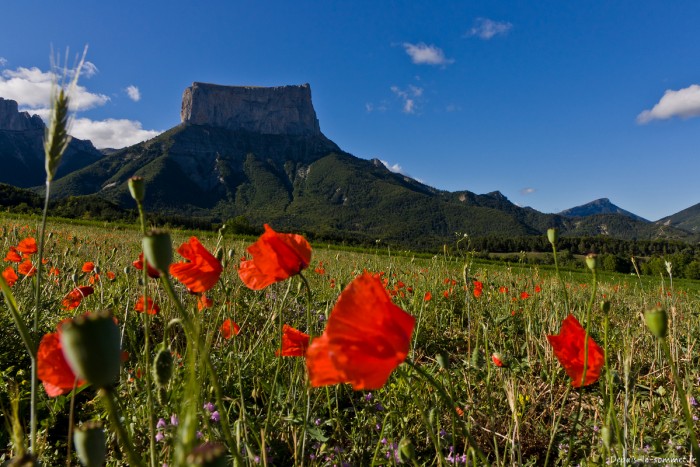 Mont Aiguille depuis Chichilianne
