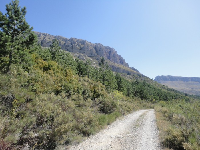 Piste grimpant au Mont Chiran dont on aperoit les barres rocheuses  gauche.