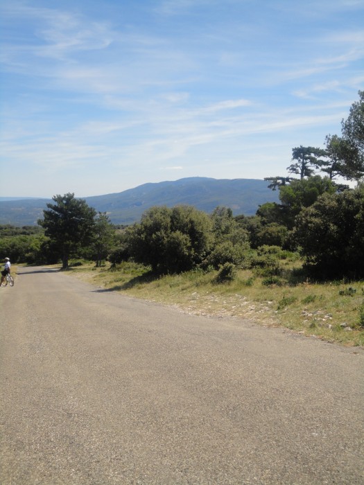 Sur la crte du Petit Luberon. En face, le Mourre Ngre.