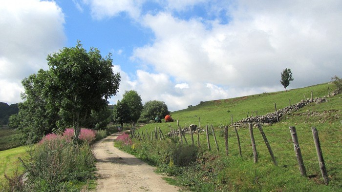 Chemin menant  la cascade du Droc sur l'Aubrac