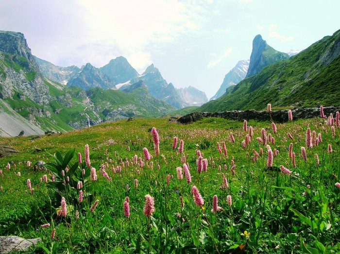 Jardin d'altitude