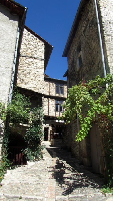 Ruelle pave et grimpante de Sainte Enimie