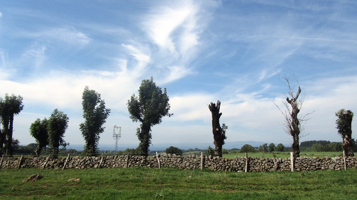L'Aubrac prs d'Alpuech