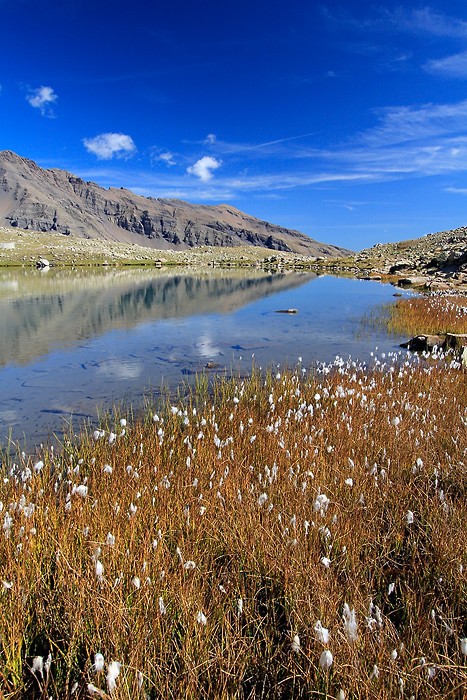 Lac Palluel