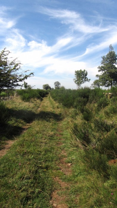 Draille sur Aubrac, sentier pour les troupeaux