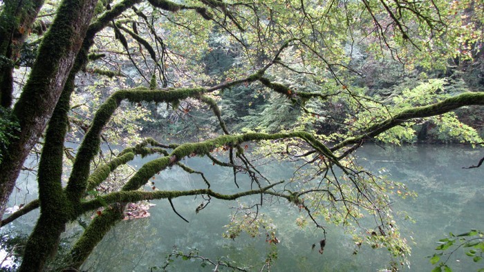 La Valserine prs de Bellegarde sur Valserine