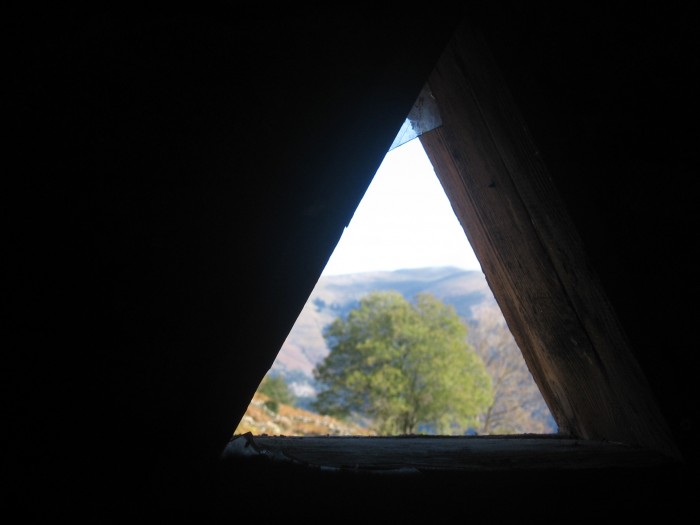 depuis la cabane