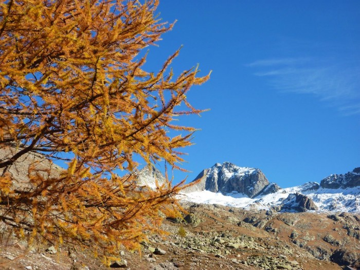 Automne en Vsubie