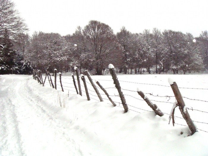 Neige prs de Laguiole sur l'Aubrac