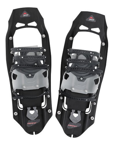 MSR Evo Ascent
