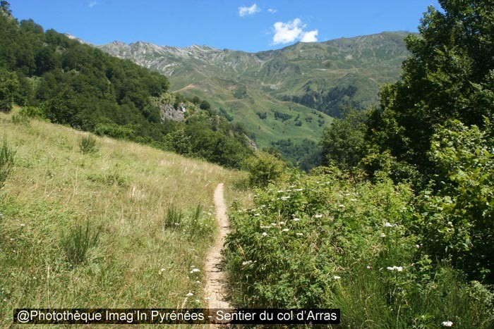 Col d'Arras