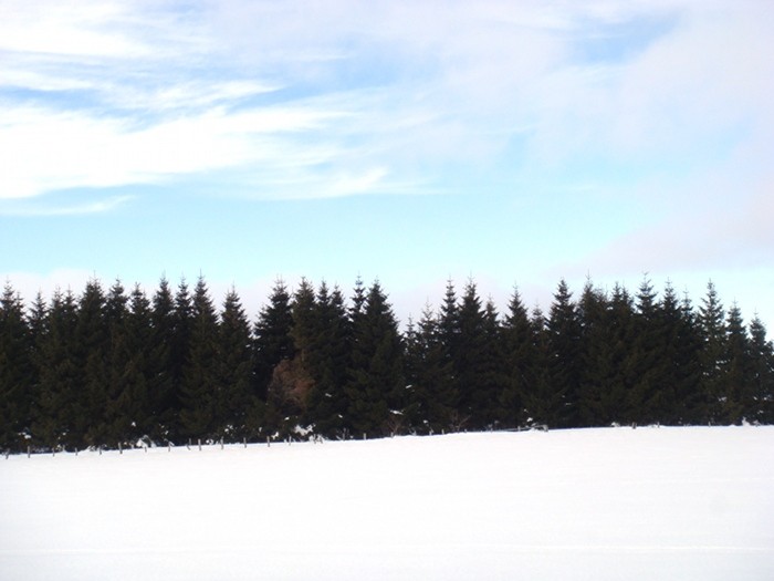 Fort sur l'Aubrac