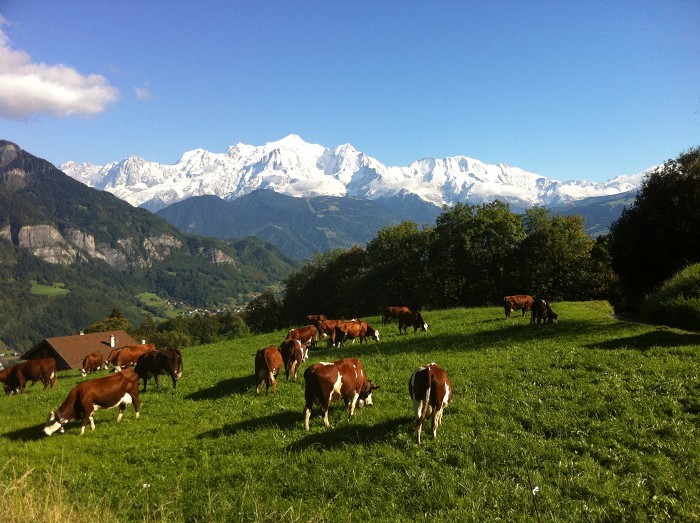Massif du Mont Blanc: A Burzier, au dessus de Sallanches