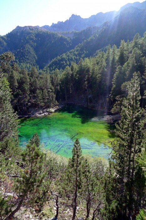 Lac Vert dans la Vallée Etroite ALPES Lac Vert dans la Vallée Etroite ALPES