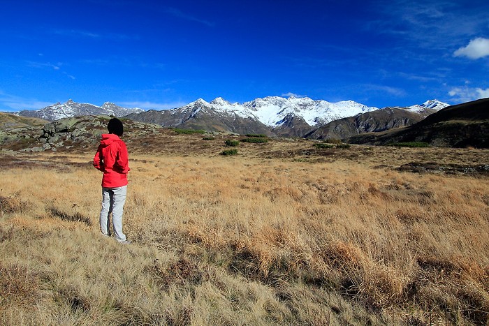 Plateau de Saugu dans les Pyrnes