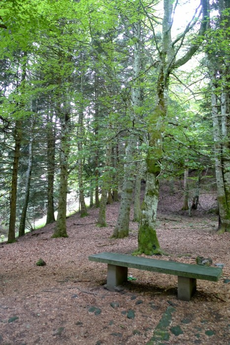 Dans la monte au Puy de Dme