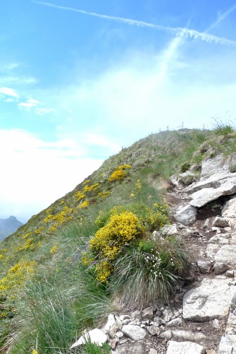 Le Puy Mary se dgage lorsque nous redescendons de l'autre ct 