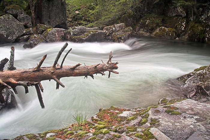 Chemin des cascades entre la Raillre et le pont d'Espagne