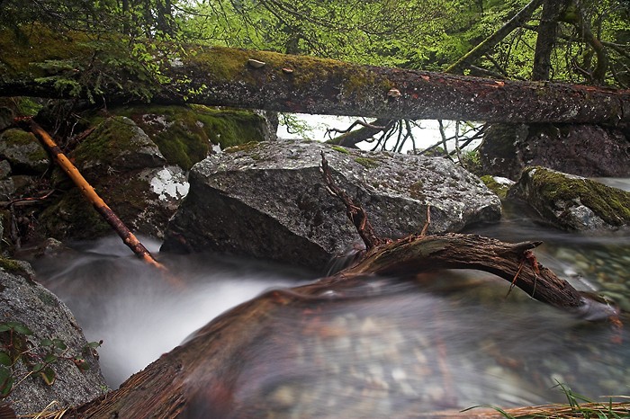 Le bois, la pierre et l'eau
