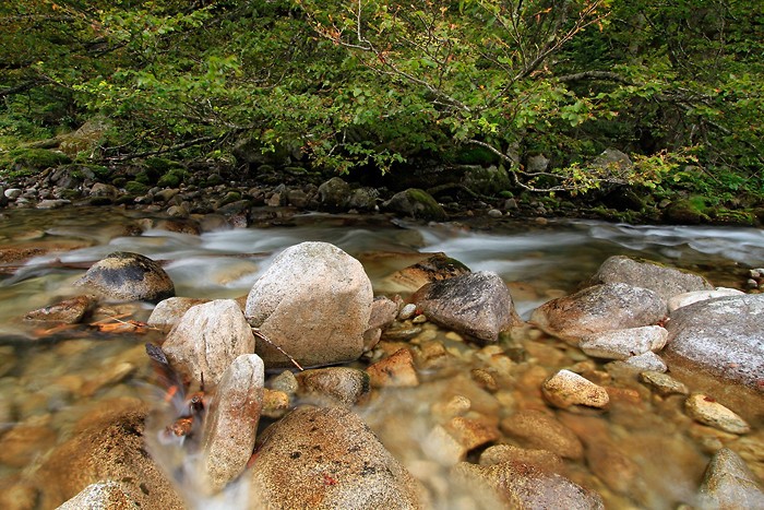Pause longue dans les Hautes-Pyrnes