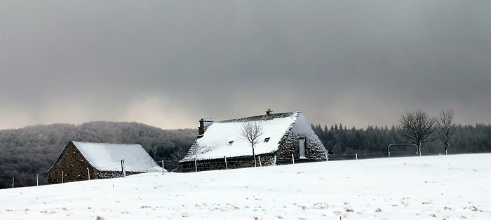 Plateau de l'Aubrac sous la neige