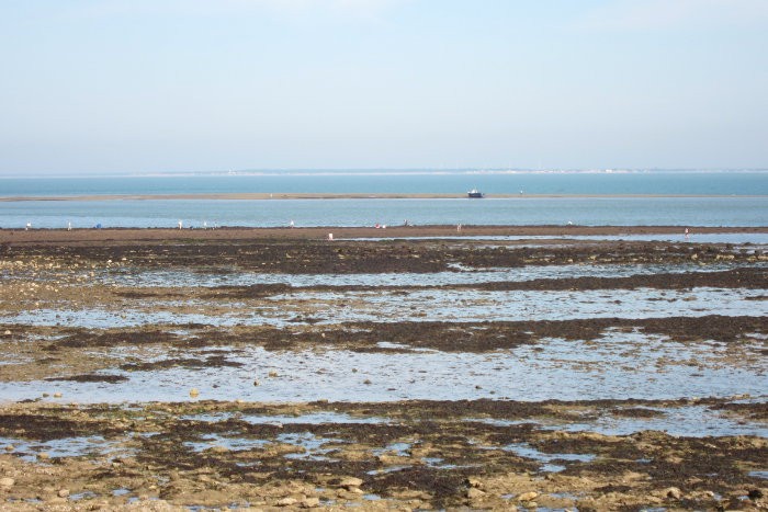 Ile de R
