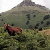 La Rhune
