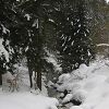 Rivire sous la neige