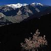 Canigou