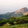 Le Capo Rosso et sa tour