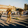 Danseurs sur le Zocalo