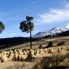 Volcan Nevado de Toluca