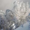 Ambiance givre enmontant au Mailh Massib